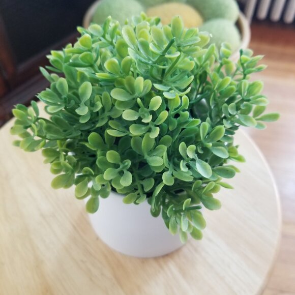 Faux Decorative Plant - Picture 2 of 3